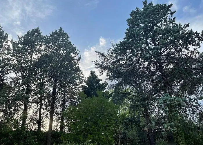 Luciana Martina Franca